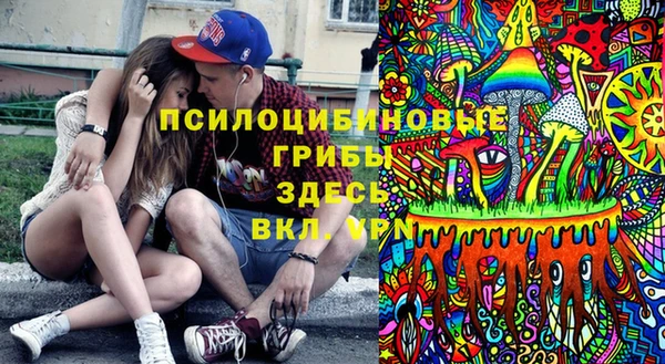 мдма Новодвинск