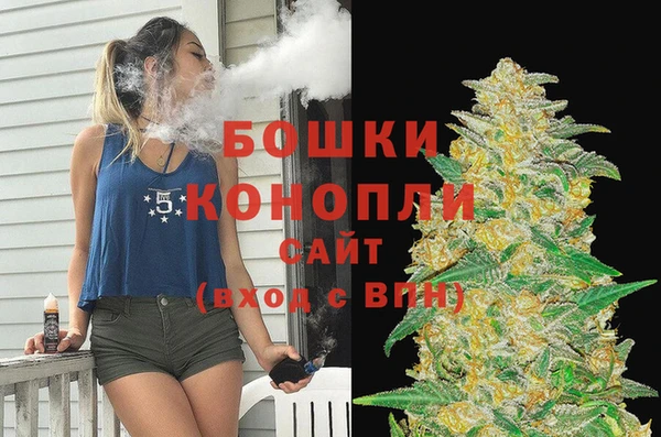 МДПВ Новозыбков