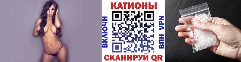 omg как зайти купить Славск МЯУ-МЯУ мяу мяу